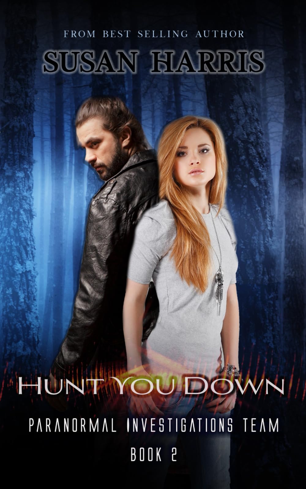 Hunt You Down: 2 (Paranormal Investigations Team)