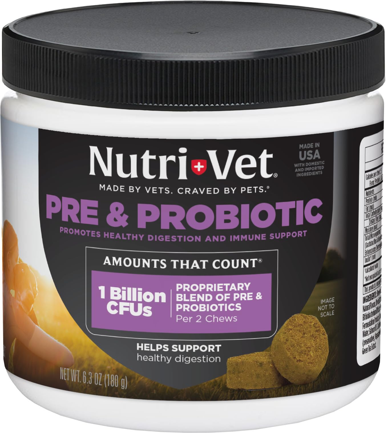 Nutri-Vet Pre & Probiotics for Dogs, Digestive Support, Upset Stomach, Puppy Probiotic, Pet Vitamins and Supplements, Dog Probiotics, Liver & Cheese Flavor, 120 Soft Chews