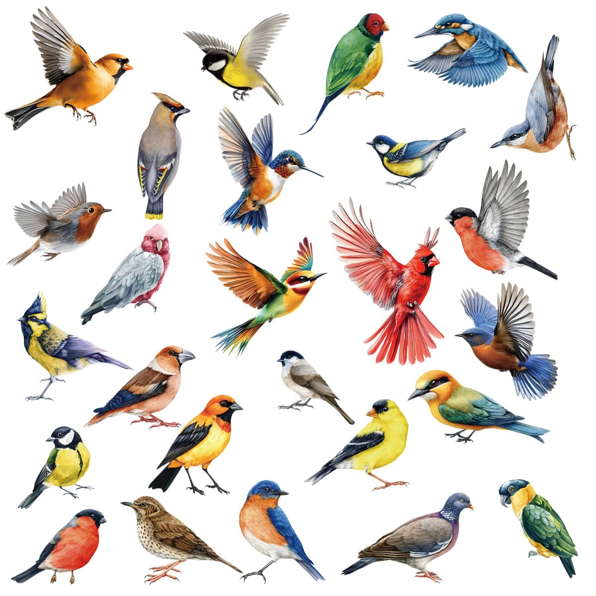 Autocollants pour fenêtres, Protection des oiseaux, Stickers oiseaux, Autocollants statiques anti-collision, Décorations de fenêtre adhésives pour vitres