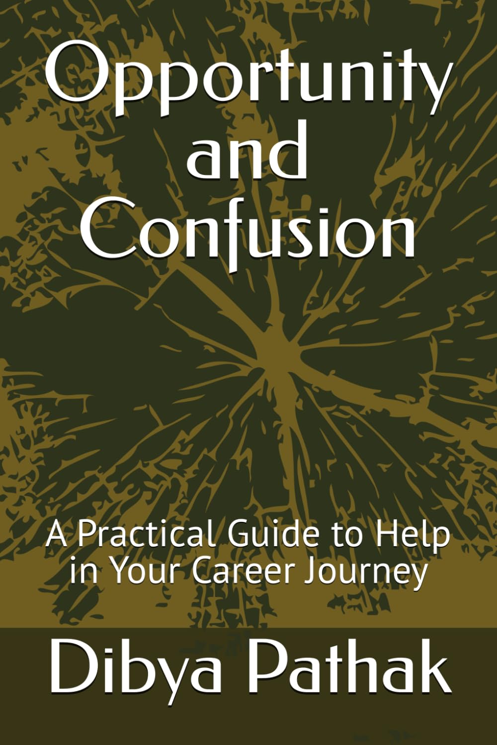 Opportunity and Confusion: A Practical Guide to Help in Your Career Journey