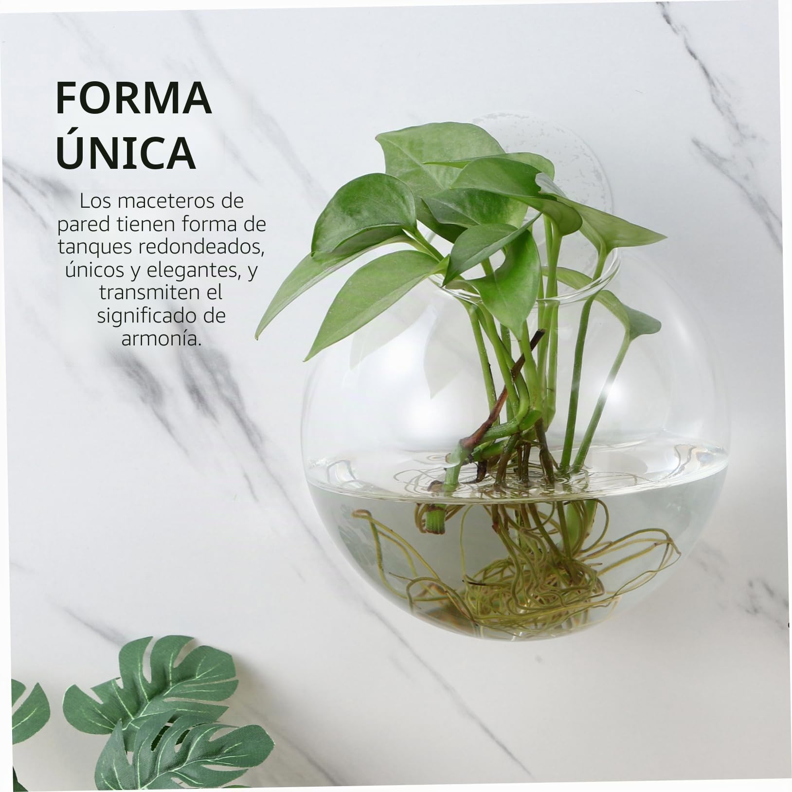4Piezas Macetas de Transparentes para Pared Estación de Propagación de Plantas Colgantes Jarrones Redondos para Decoración de Interiores Diseño Elegante y Ahorrador