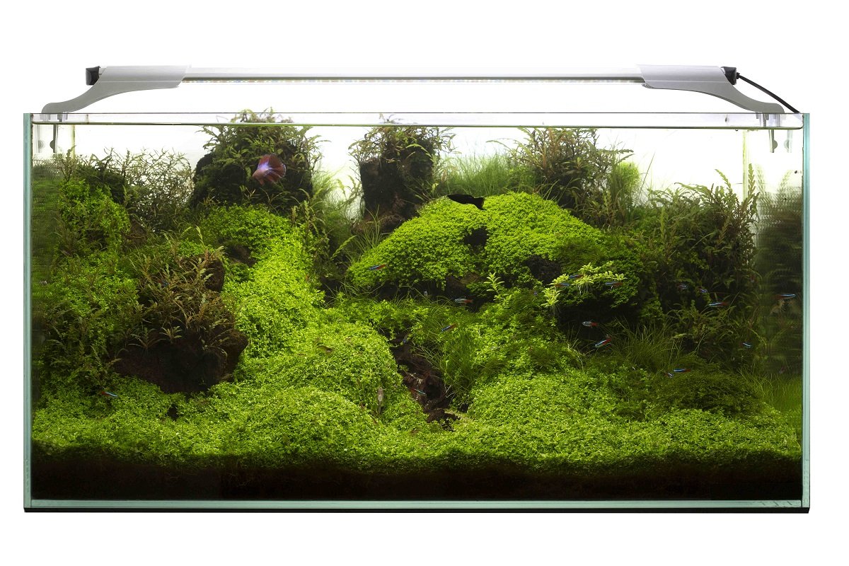 Aquael LEDDY SLIM Sunny 10 Watt Aquarium Beleuchtung, Schwarz, x