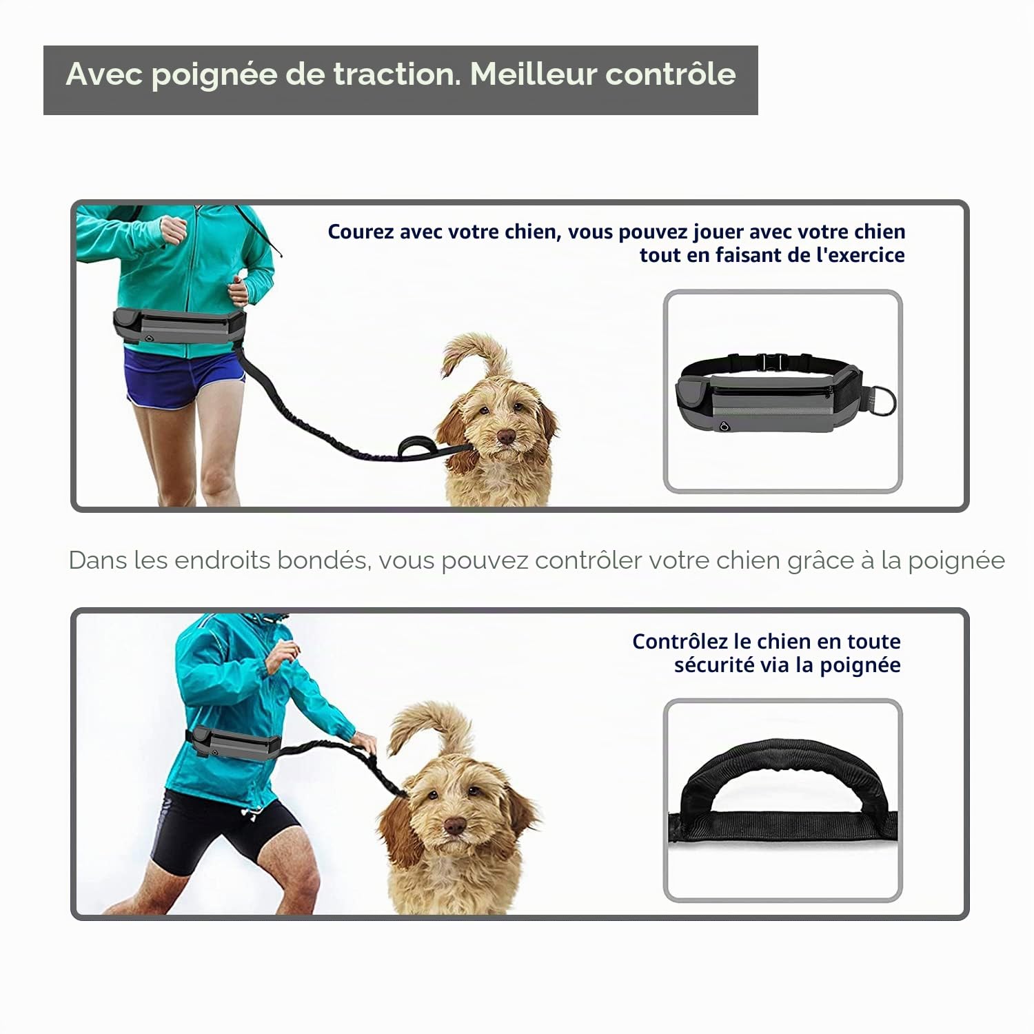 Edipets, Laisse Canicross, Main Libre Chien, pour Ceinture, Running, Anti-tirons, réfléchissant, 160-220 cm (Gris)