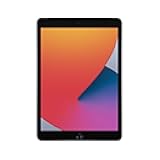 Apple iPad (10.2-inch, WiFi, 128GB) - Space Gray (Renewed Premium)