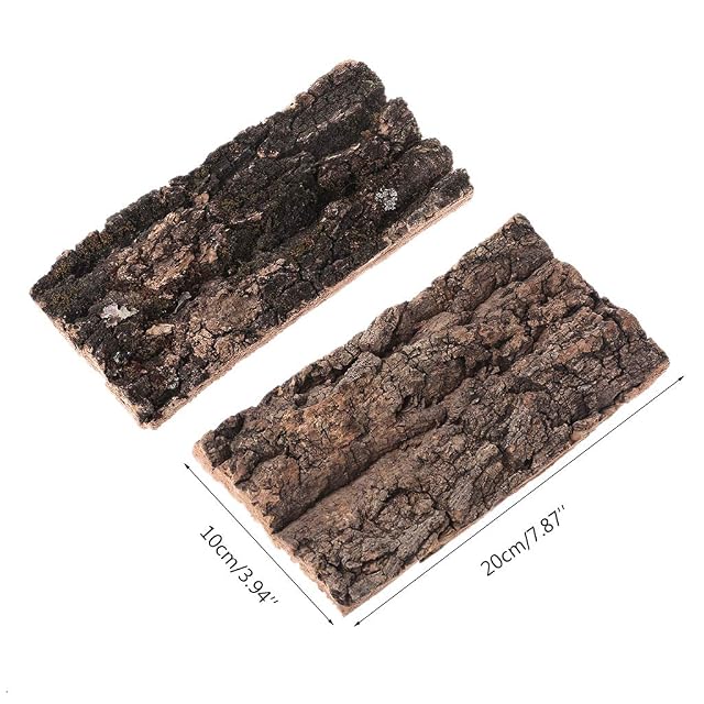 Foto 6 de 7 de Corteza de corcho plana, terrarios de agua para tanques, decoraciones para orquídeas, plantas aéreas, reptiles