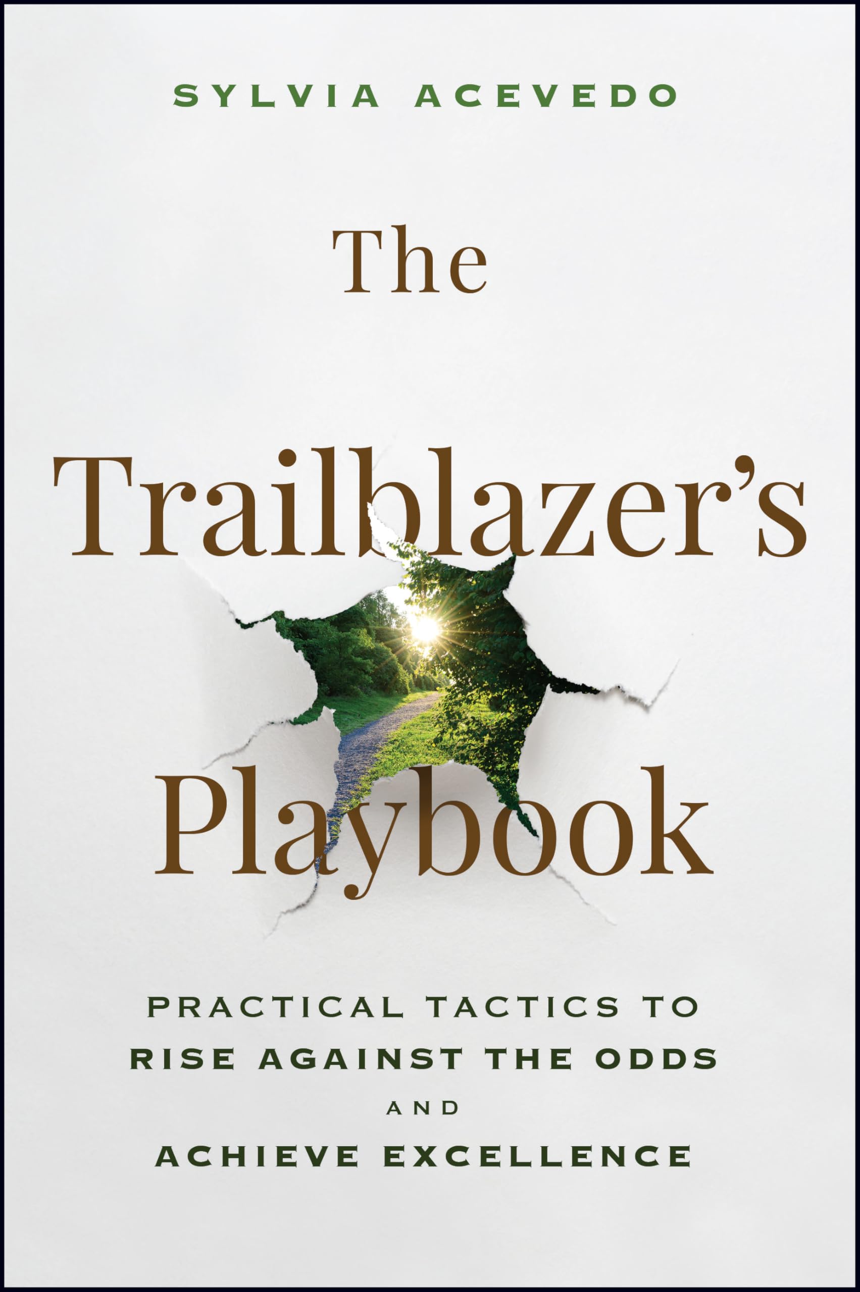 The Trailblazer's Playbook: Practical Tactics to Rise Against the Odds and Achieve Excellence