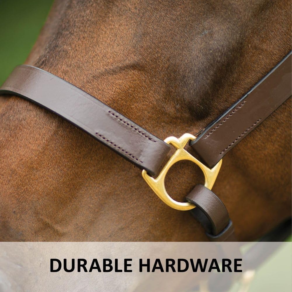 Dura-Tech Premier Lancaster Leather Halter for Horses | Simple Economy Leather Halter with Adjustable Fit & Solid Brass Hardware