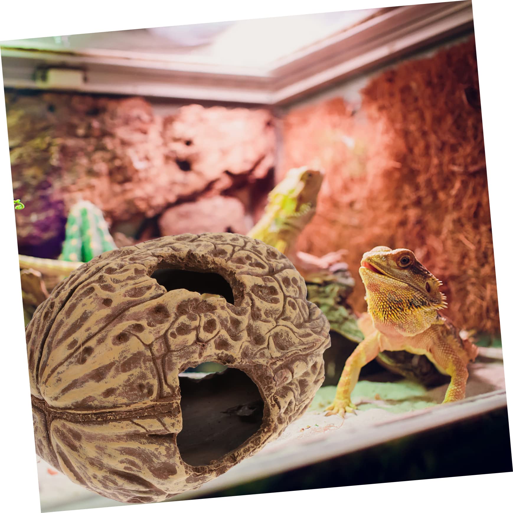 COLLBATH Cueva De Escondite para Peces y Reptiles Refugio Natural para Acuarios y Terrarios Decoración Acuática Única y Divertida Gran Escondite para Vida Marina y Reptilística
