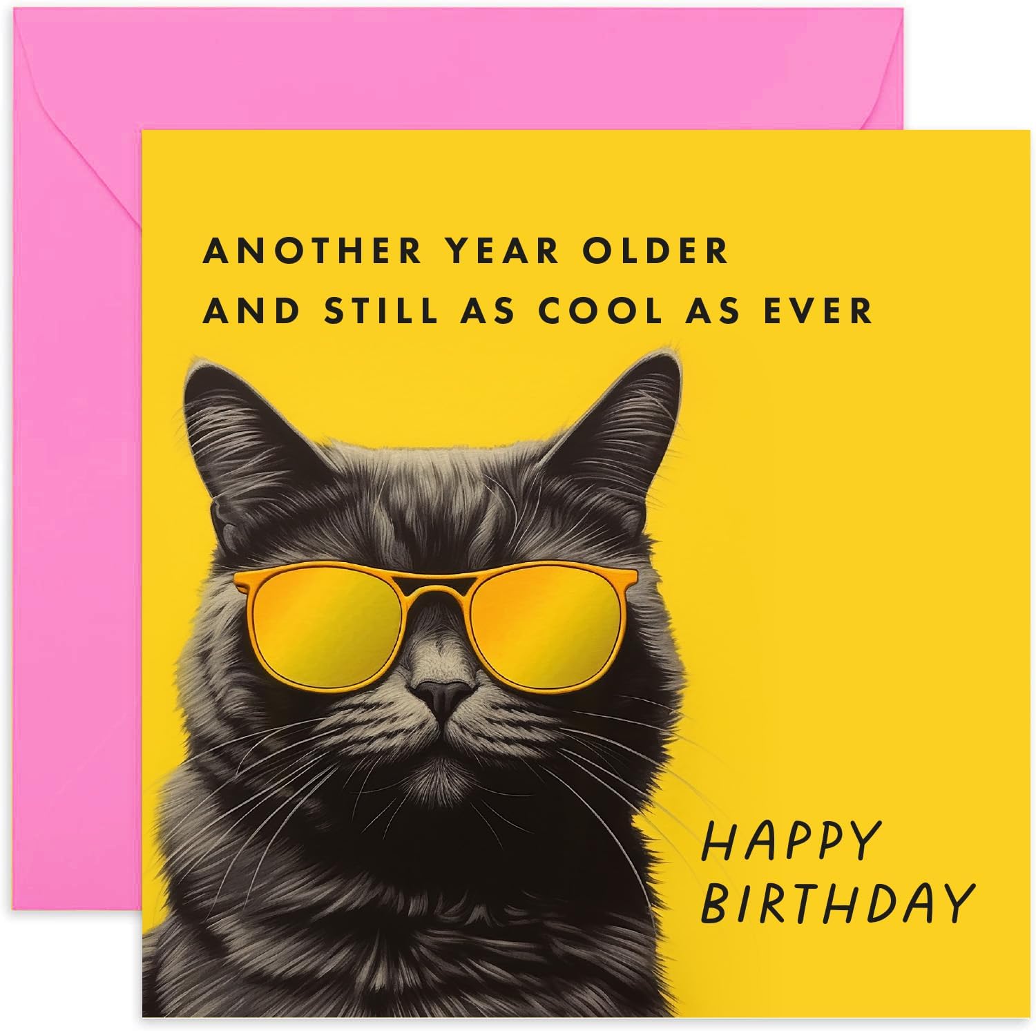 Old English Co. Funny Happy Birthday Card From Cat Iceland - View #3