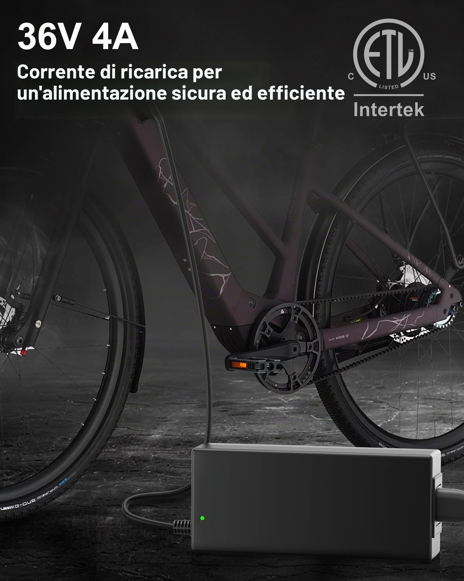 36V 42V 4A Caricabatterie per Bosch per Bosch PowerPack 300/400, PowerTube 400, PowerTube 500/625, PowerPack 500, DualBattery 1250 Cavo di ricarica per batteria E-Bike