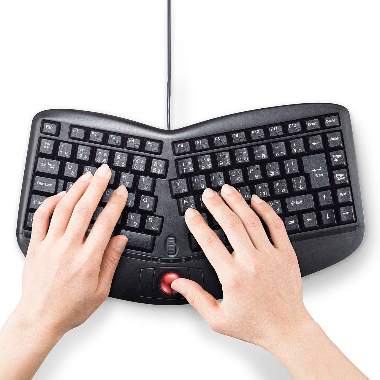 Sanwa Supply SKB-ERG5BK Ergonomic Ski Board (with Trackball) Wired USB Connection Membrane Japanese 109A Array