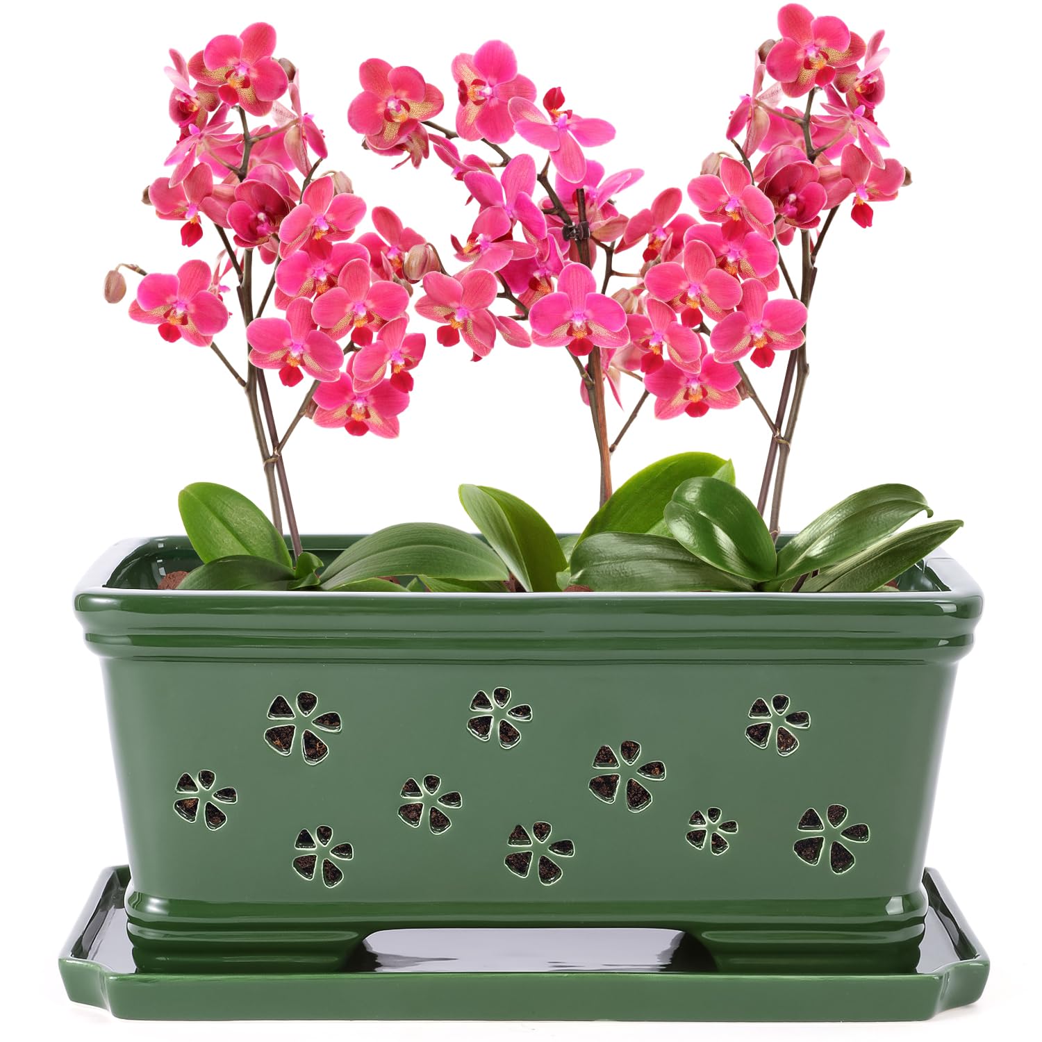 Grüner Keramik-Orchideentopf mit Löchern zum Umtopfen und Belüften, für drinnen und draußen, 30,5 cm