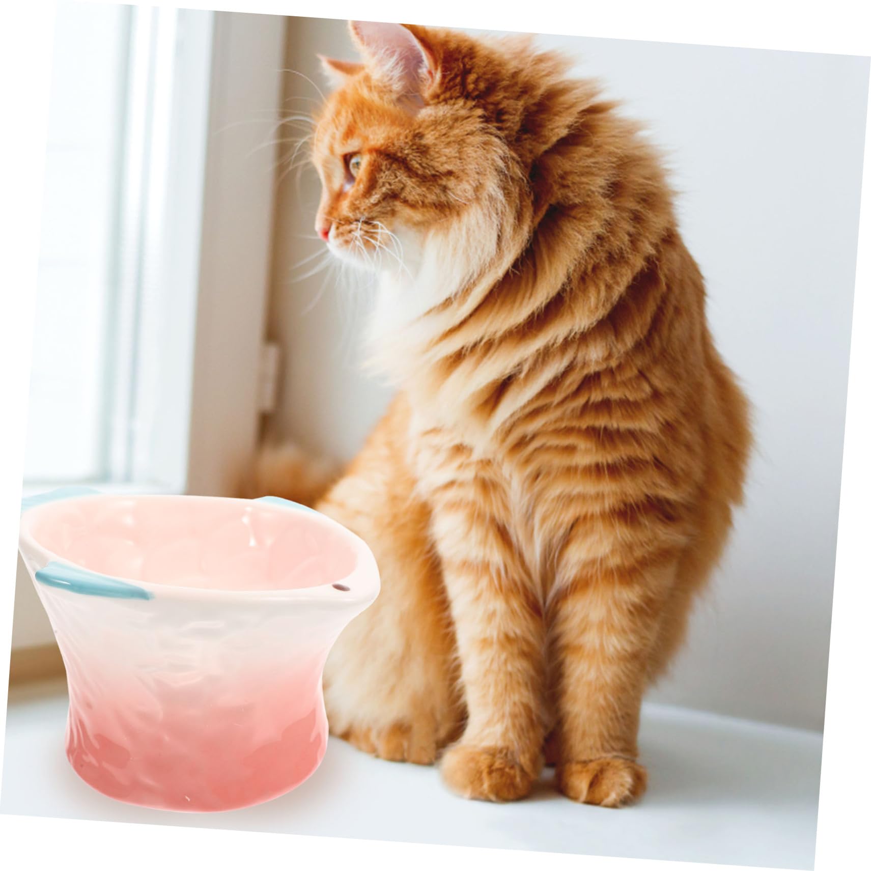 Piatto per Alimenti per Gatti Rosa in Ceramica, Basso e Decorativo | Adatto a Gatti e Cani, per Cibo e Snack, Servizio Prolungato, Stile Creativo a Forma di Pesce