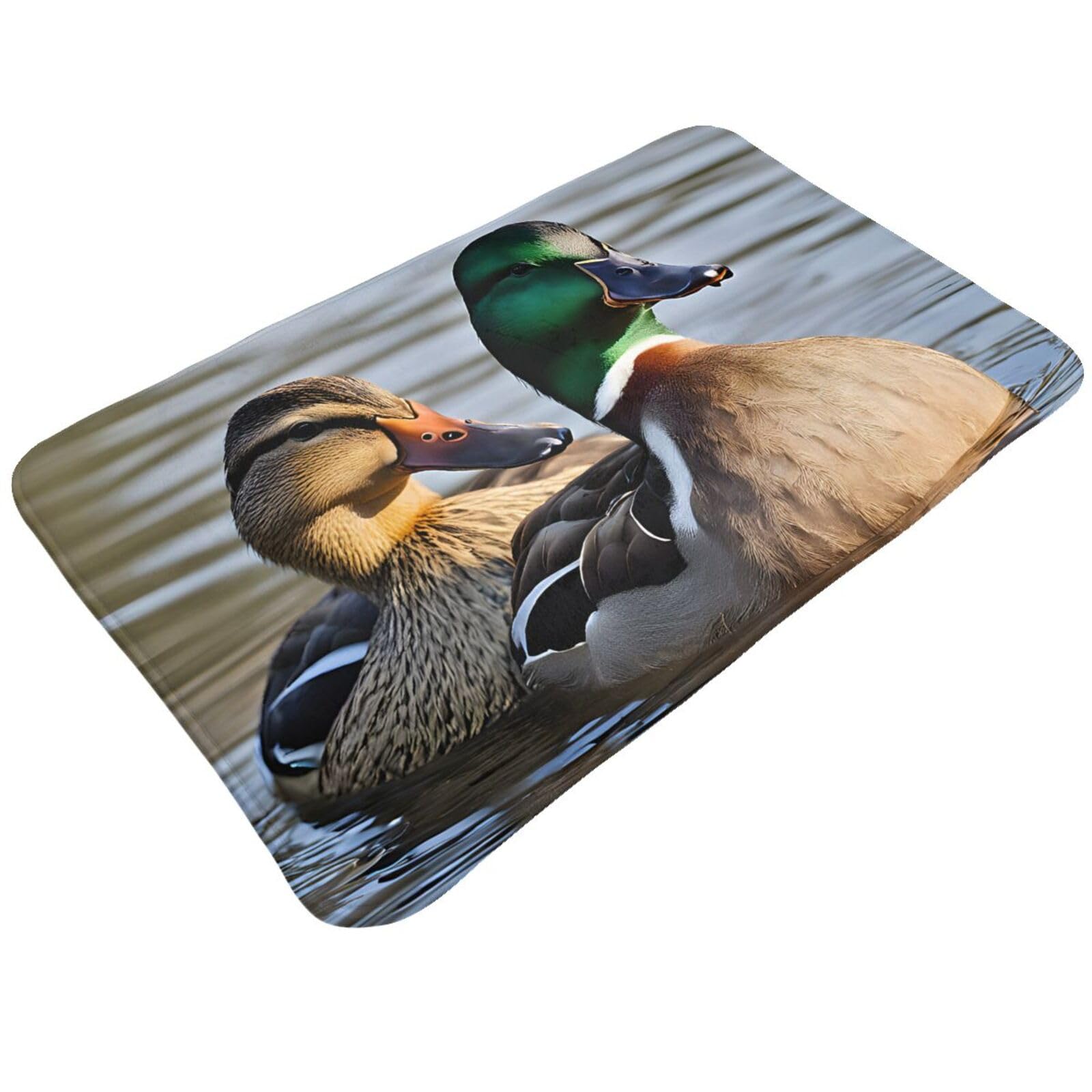 Mallard Duck Print Living Room Bathroom Kitchen Anti Slip and Absorbent Carpet, Indoor Entrance Door Muddy Floor Mat, Ultra Soft Washable Carpet 21x31.5 Inches