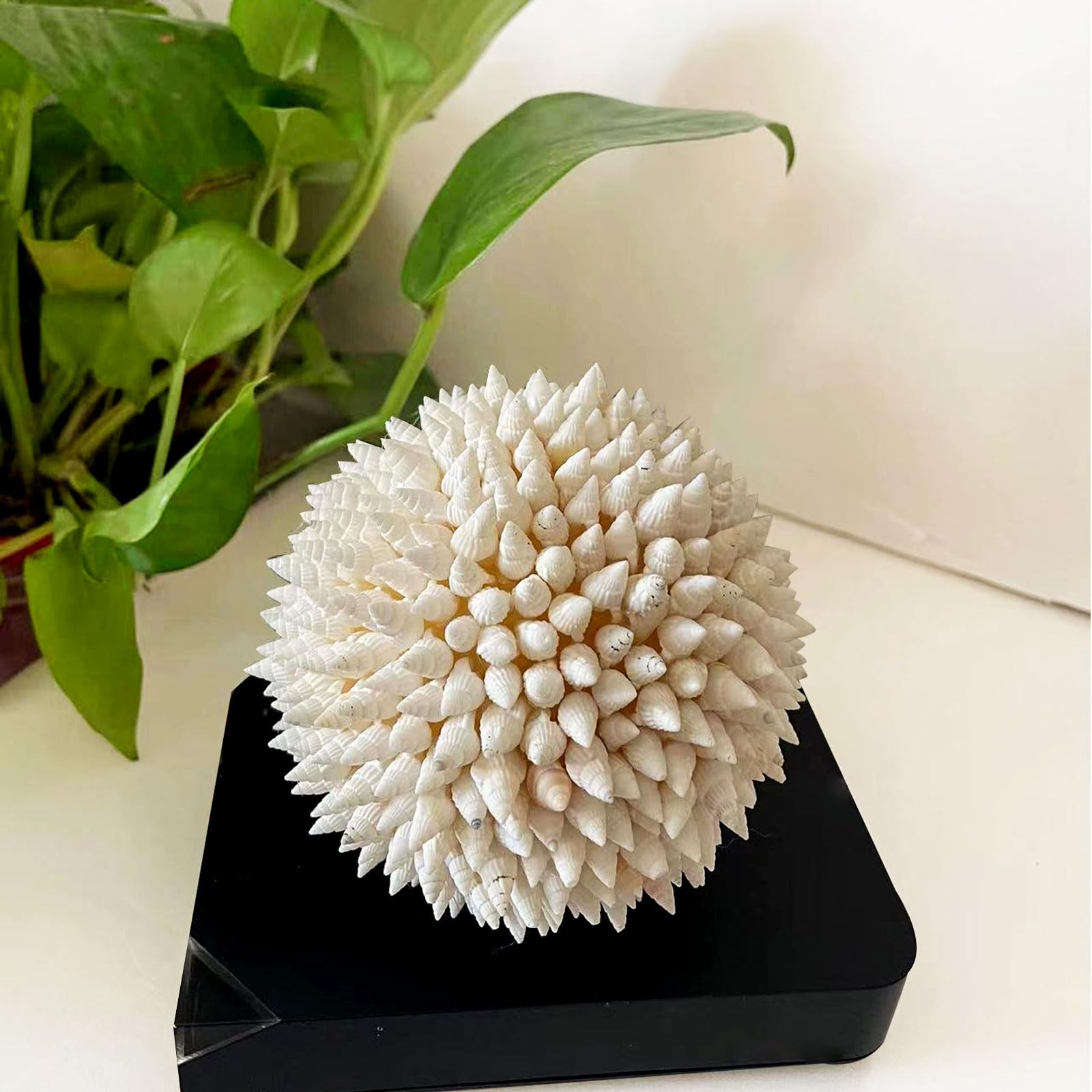 cheehigo 2 Pcs 4 Inch White Sea Shells Balls Nautical Handmade Home Wedding Dining Table Beach Decor