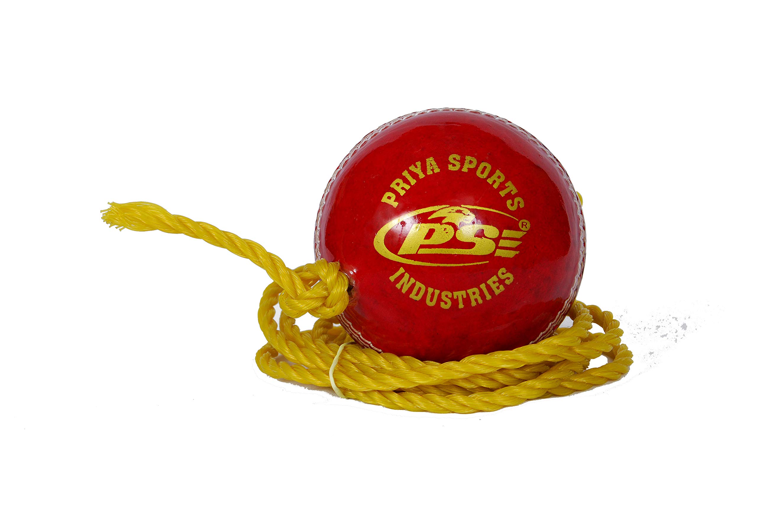 See full amazon price history chart for PSE Priya Sports Red Leather Hanging Ball PSE Priya Sports Red Leather Hanging Ball (B077ZZCKFT) Amazon Price History, Amazon Price Tracker