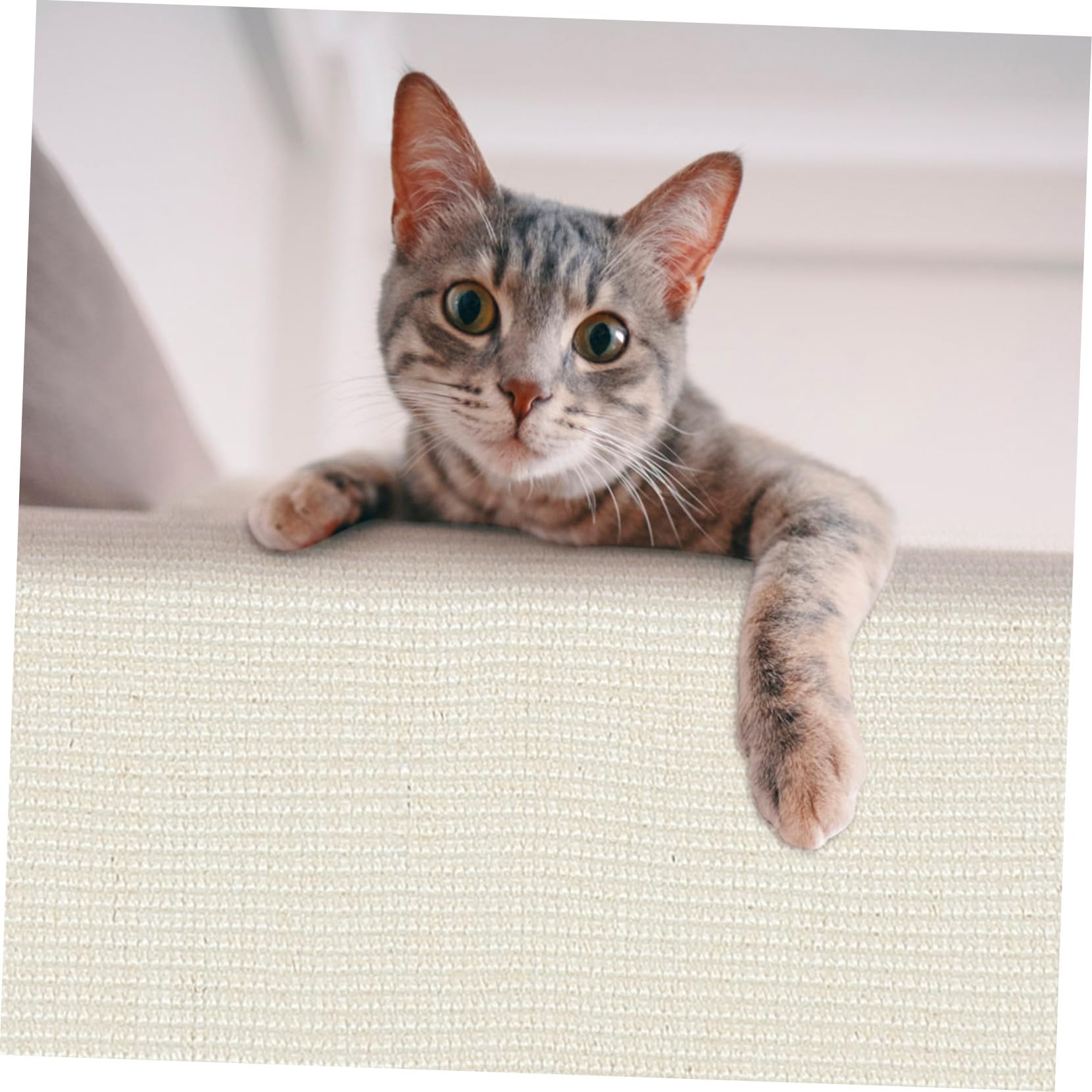 Funda para Reposabrazos de Sofá Antiarañazos de Sisal para Gatos | Protector contra Arañazos, Uso en Oficina y Habitación, Formato para Casa