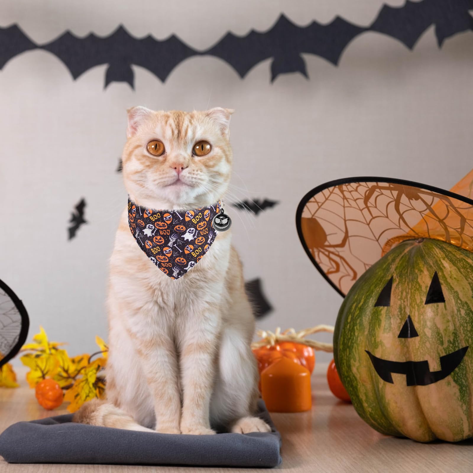 EXPAWLORER Halloween-Katzenhalsband mit abnehmbarer Fliege und Bandana, verstellbares Urlaubs-süßes Breakaway-Katzenhalsband mit Glocke und Kürbislampe, ideales Geschenk für Kätzchen, Katzen, Welpen,