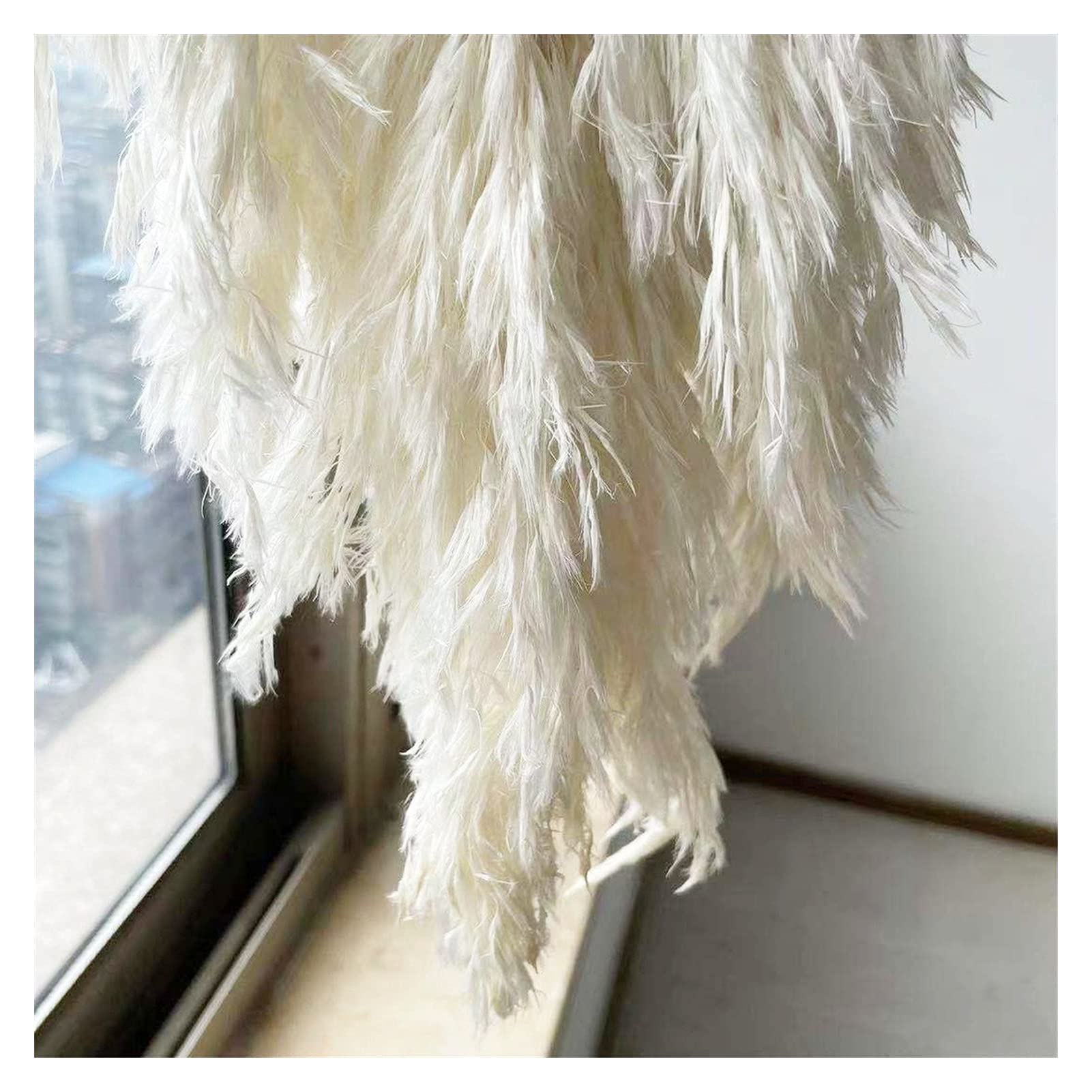 YANGQI Yaoqijie Herbe de pampa séchée de grande taille pour mariage ou décoration d'intérieur - Couleur : blanc - 20 tiges - Taille : L