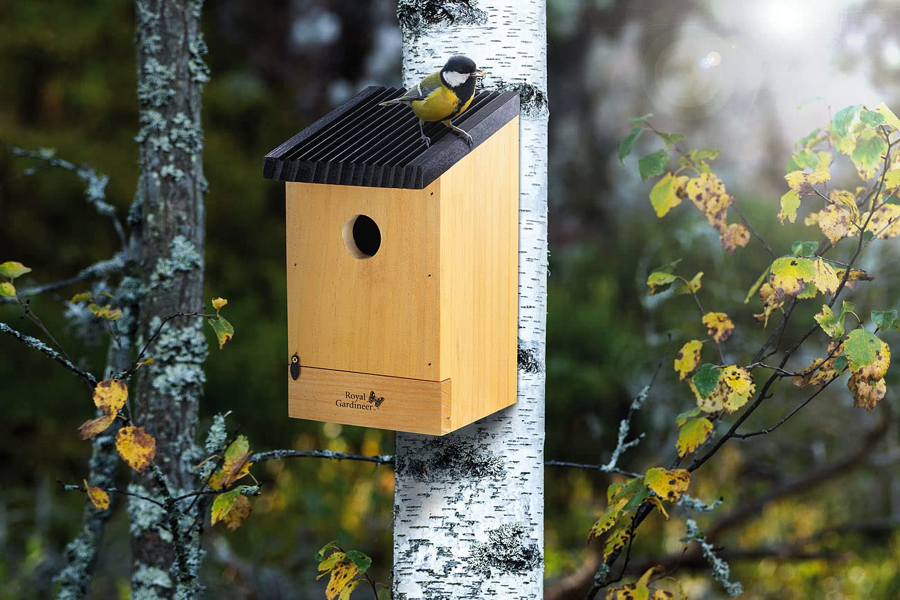 Royal Gardineer Vogelhaus Holz: 8er-Set Tannenholz-Nistkästen für Wildvögel, 22x14x12 cm, vormontiert (Nistkasten aus Holz, Vogel-Häuser)