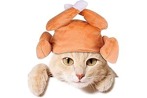 Cat Thanksgiving Hat for Joyful Feasting Celebrations