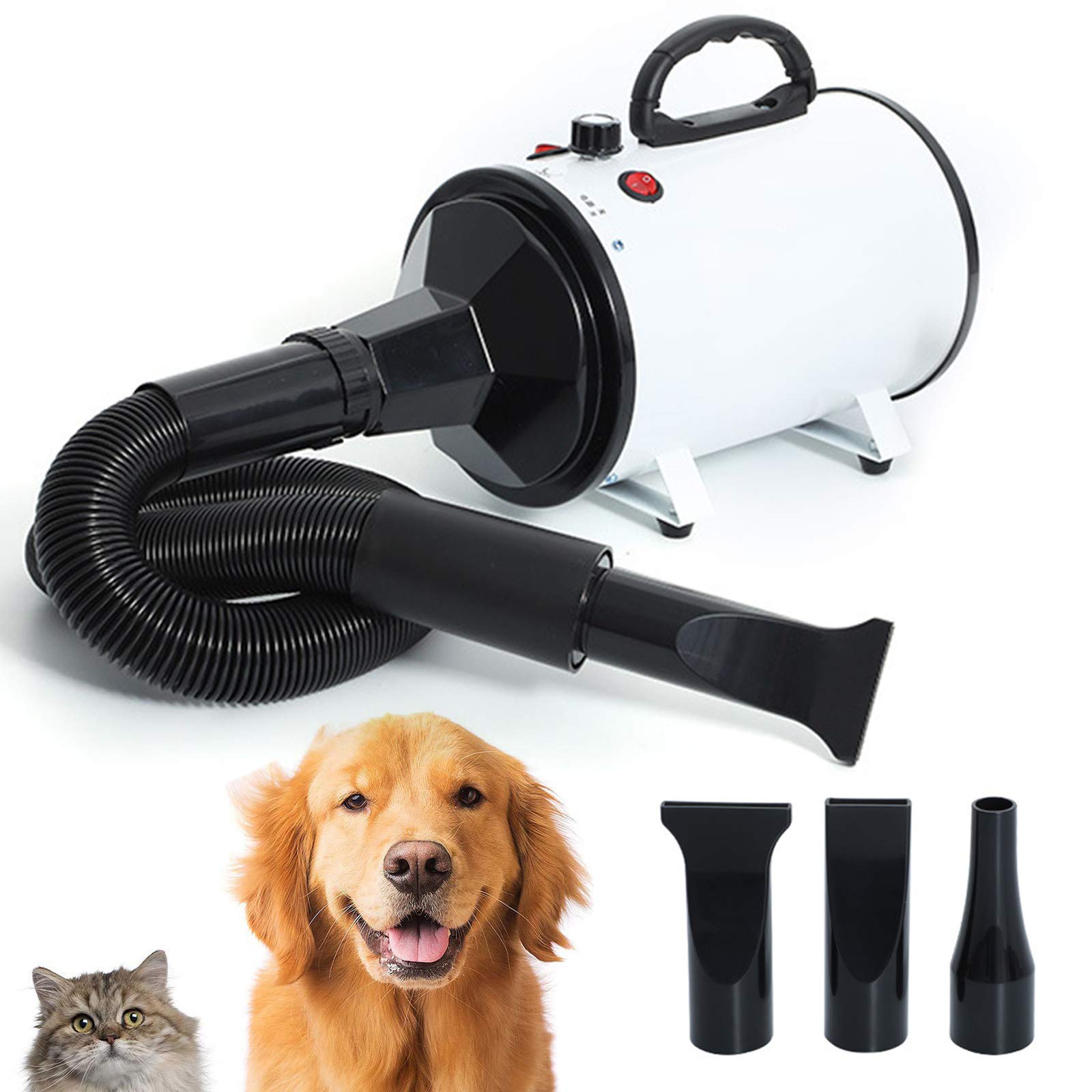 2000W Séchoir Sèche-Poils Toilettage pour Chiens Chats Stepless Vitesse Réglable Sèchecheveux Toilettage Séchoir Pulseur avec Vitesse Et Chaleur Ajustable, avec Tuyau, 3 Buses en Option