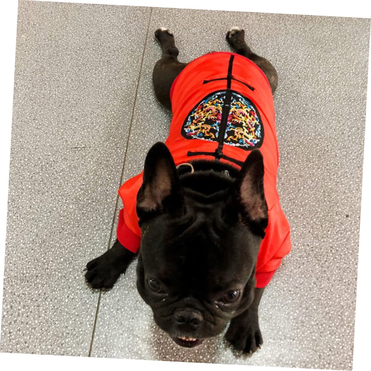 Mipcase 3stücke Winter Pet Suit Coat Für Hunde Warmer Und Stilvoller Hundemantel Für Kleine Wie Französische Bulldogge Mops Und Für Und Besondere Anlässe