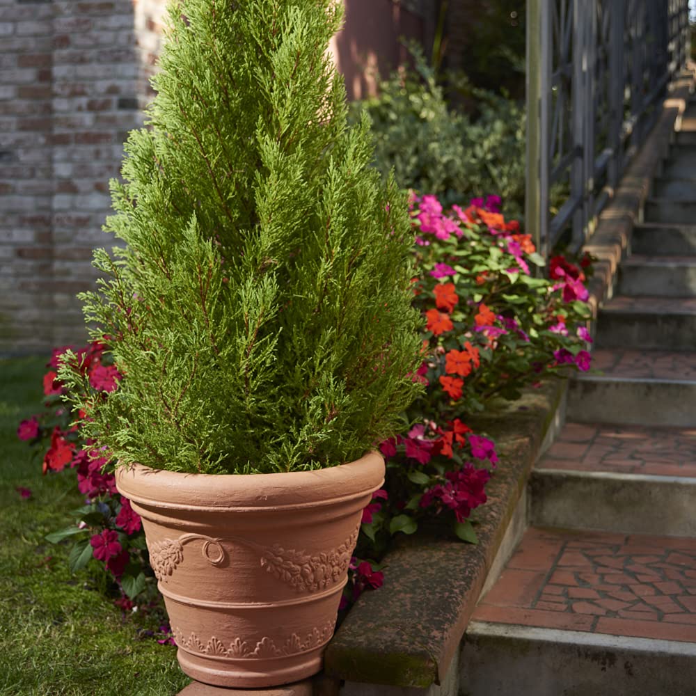 Garden Italia Vasi Vaso per piante tondo Campana con festoni ICFB Diam.80 cm alt.64 Made in Italy in resina colore impruneta - Resiste al gelo - Antiurto Leggero