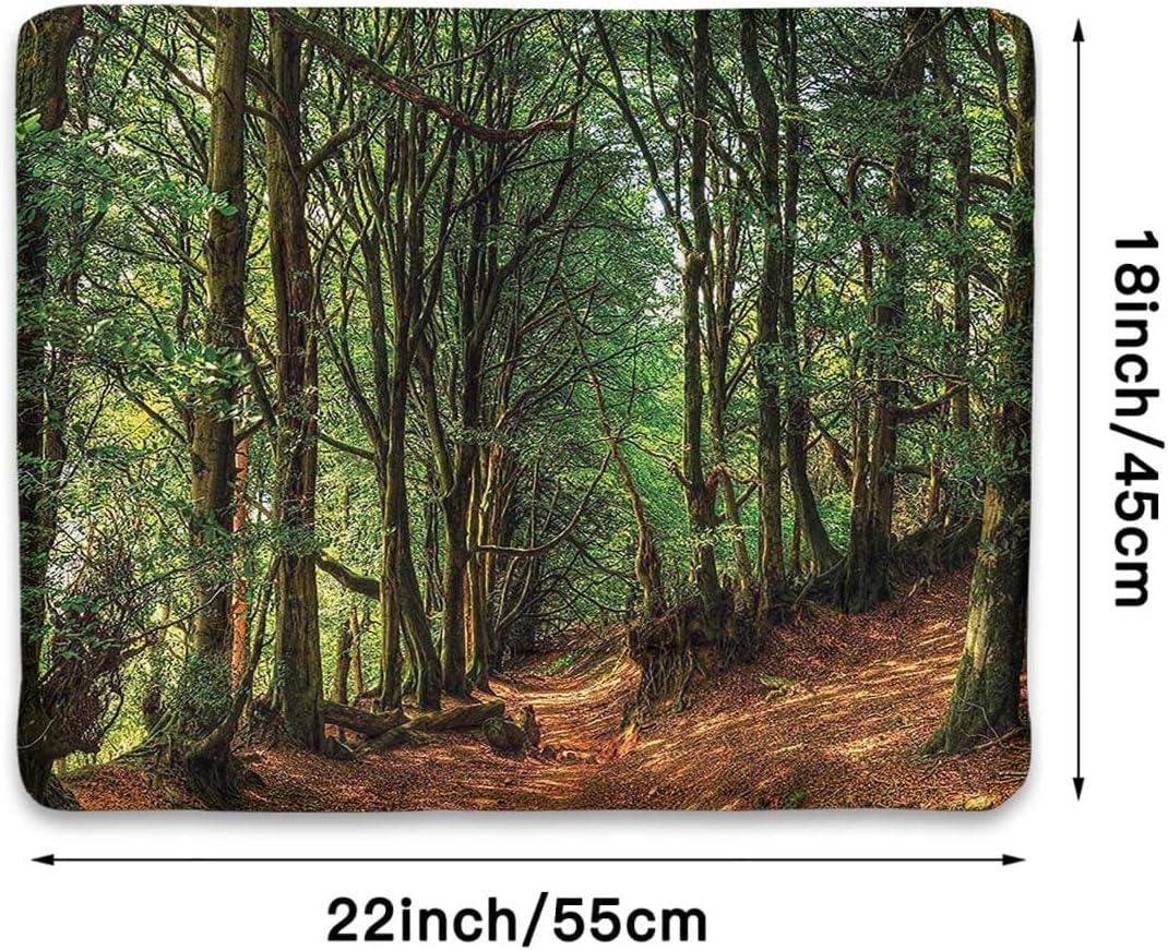 review Green Brown Thermal Pet Mat Bed Liner Trees and Pathway Greenery Outdoor Picture for Pets Beds Pets Blankets and Kennel Woodland 18