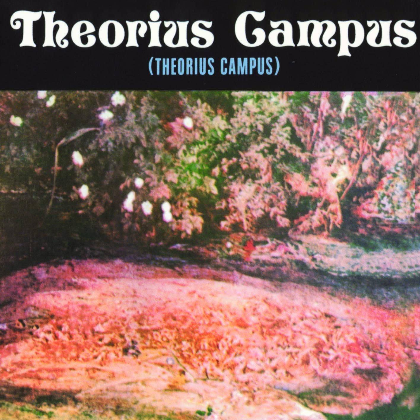 Theorius Campus