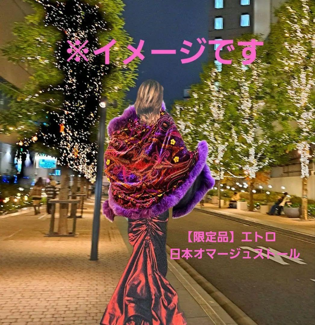 Amazon.co.jp: 限定品エトロ 日本オマージュストール : ファッション