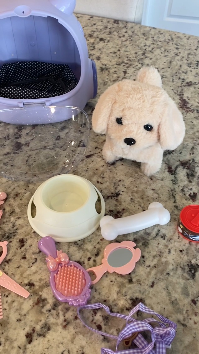 Watch Robot dog with 16 piece accessories on Amazon Live