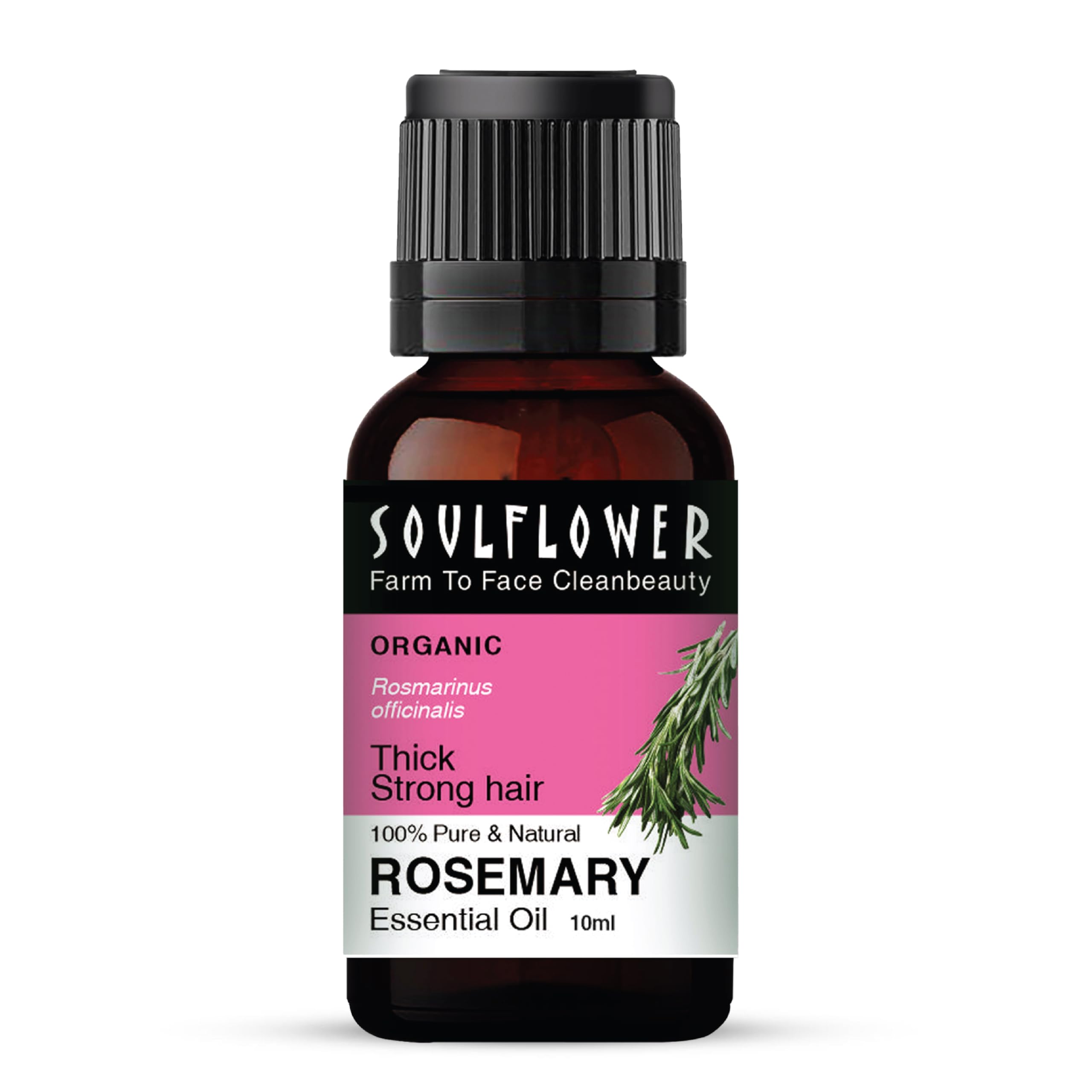 Soulflower Rosemary Essential Oil for Hair Growth, Hair Fall Control, Hair Nourishment & Strengthens, Skin Care| Clinically Proven and Ecocert Certified Organic 100% Pure & Natural Undiluted, 10ml-image-26