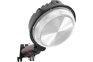 Ceena Area Lights: Illuminate Your Spaces with Revolutionary Dusk-to-Dawn Convenience