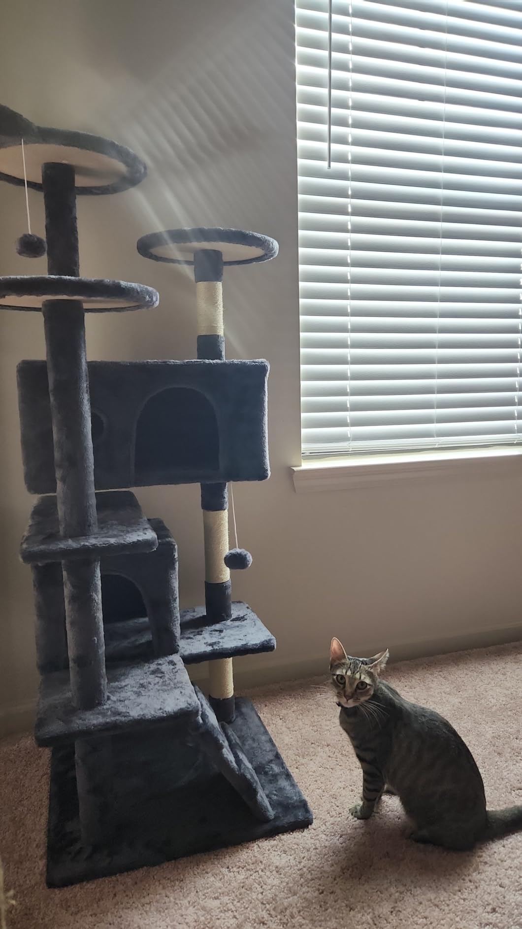 FDW Cat Tree 54in Cat Tower Multi-Level Durable Cat Scratching Post & Cozy Fun Cat Jumping Platform Space Saving Cat Condo Pet Play House for Indoor Cats,Dark Gray photo review