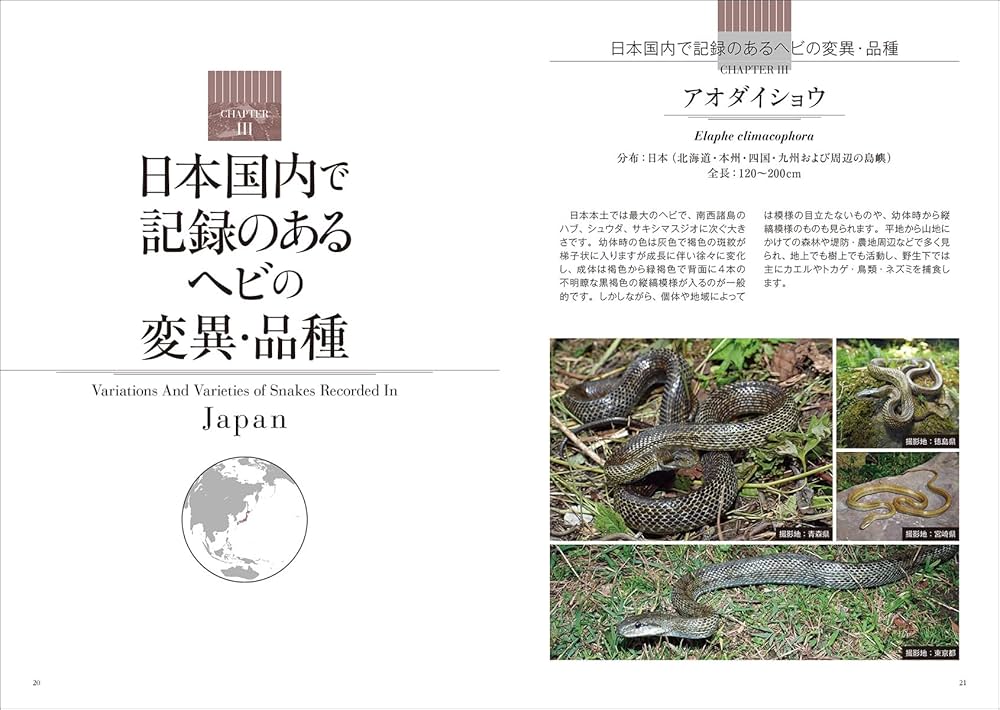 ヘビ品種図鑑: 品種・変異を豊富に掲載 飼育前の個体選びに