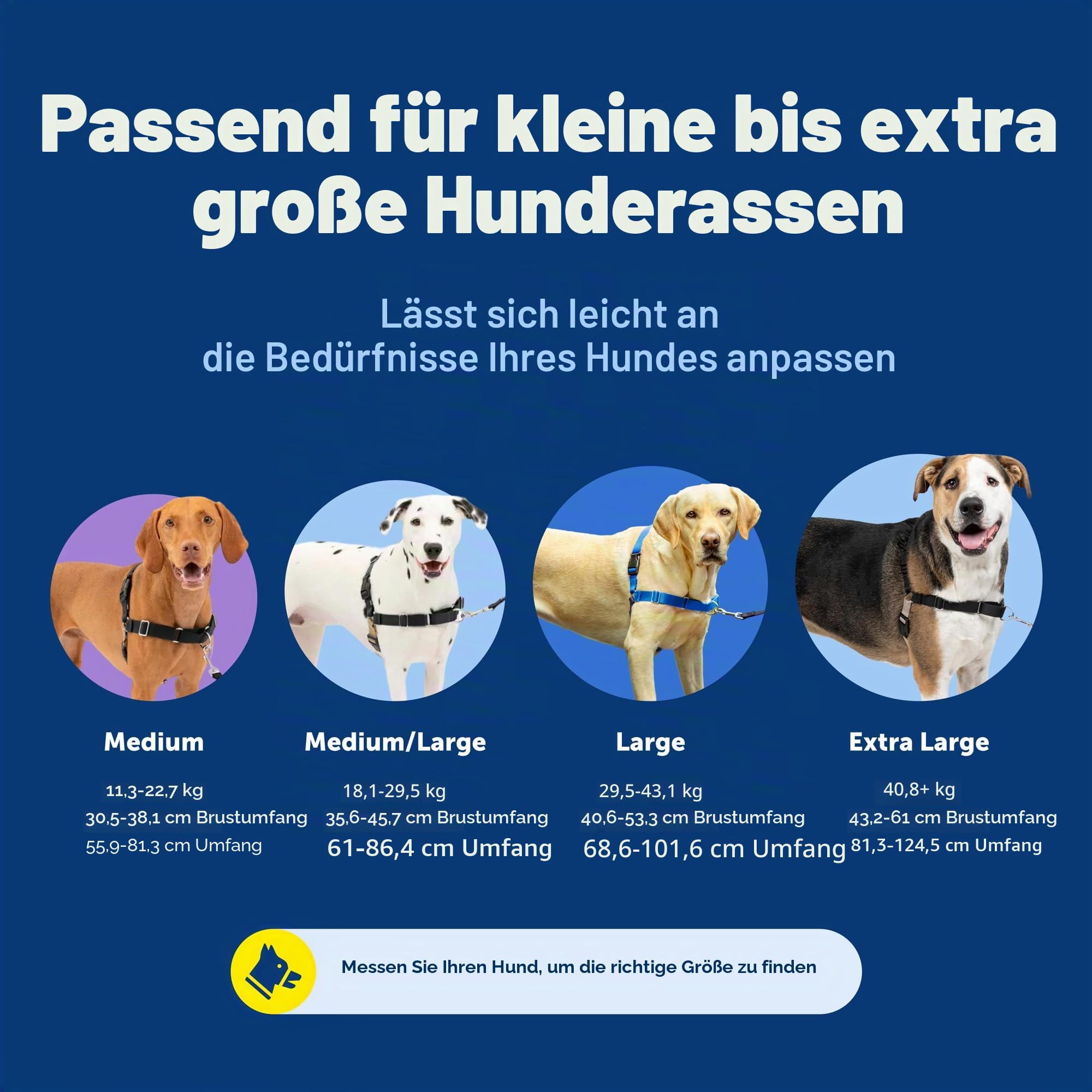 PetSafe, Easy Walk Hundegeschirr, das ultimative Geschirr gegen Ziehen bei Spaziergängen, übernimm die Kontrolle und lehre EIN besseres Leinenverhalten, Large, Dunkelgrau/Schwarz