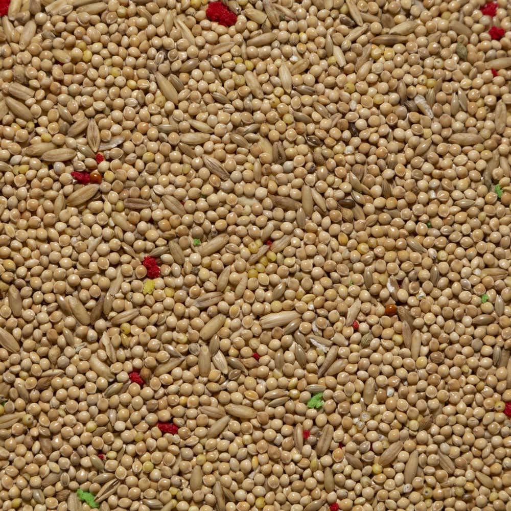 Il Contadino - Antichi Becchimi | MISCUGLIO per PAPPAGALLI e COCORITE | Formula Ricca di Semi Selezionati Adatta per Tutto L'Anno, No OGM, 100% Vegetale, Assenza di scarti. qualità Superiore (20 kg)