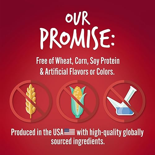 Miniatura 7 de Fruitables Biggies Dog Biscuits - Galletas crujientes para perros hechas con calabaza, golosinas saludables para perros llenas de sabor a fruta