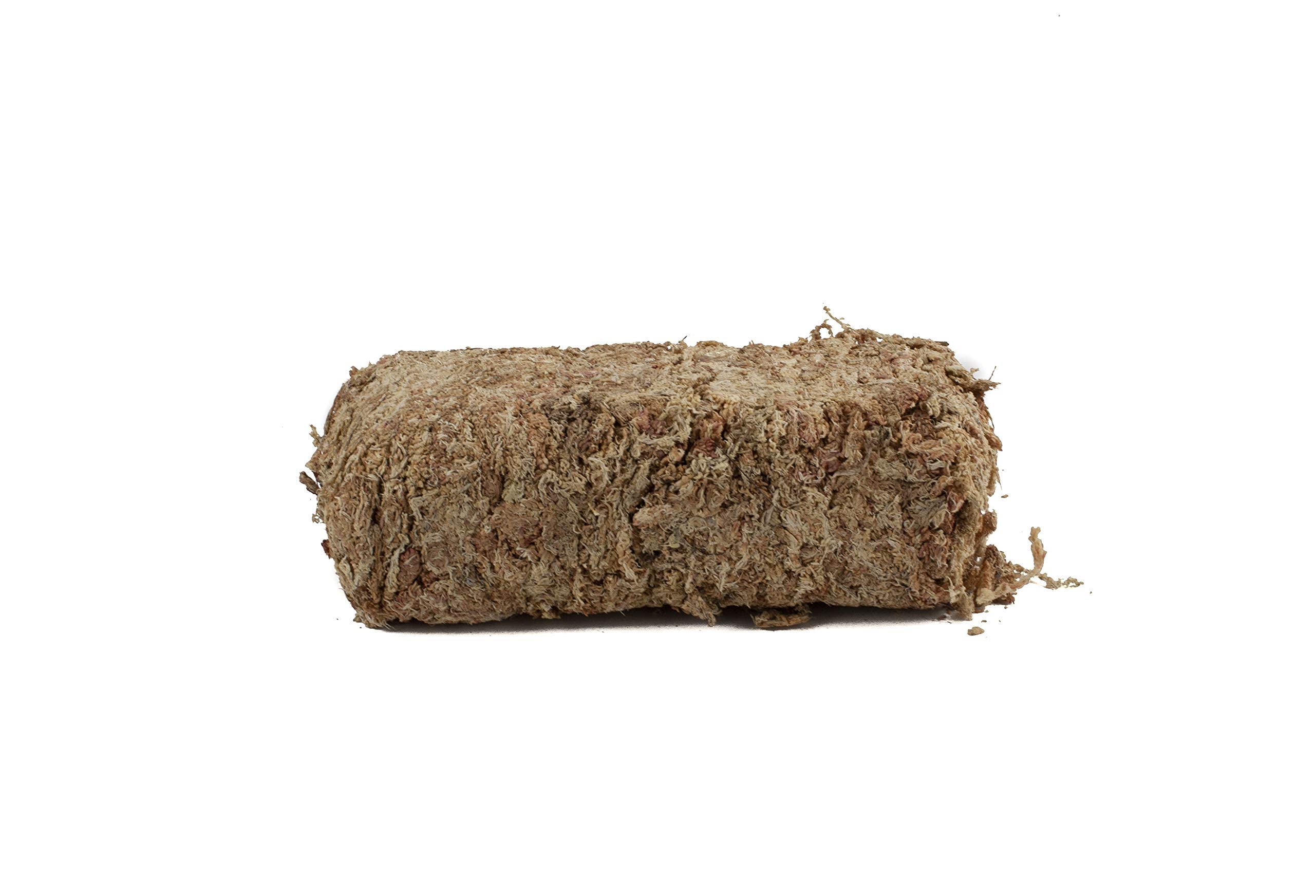 Sphaigne de sphaigne pour Terrarium et orchidées du Chili 150 g à 5000g (1x150 g)