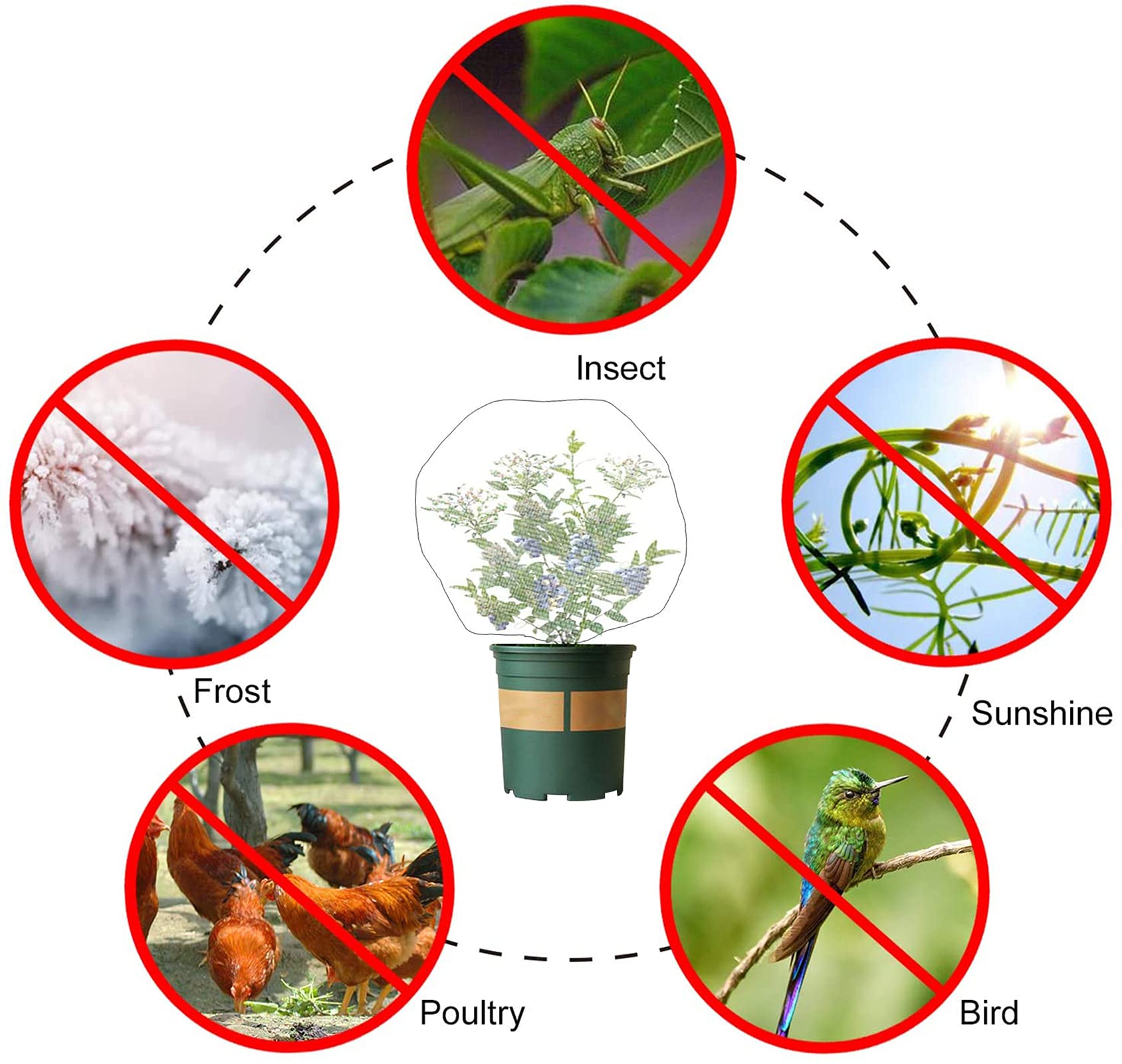 Lot De 4 Filets De Protection Pour Plantes 1x1,5m - Filet Anti-Insectes à Mailles Fines Avec Cordon De Serrage
