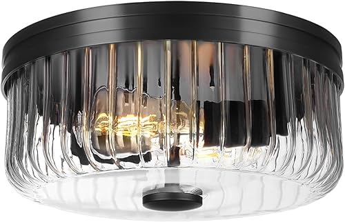 Miniatura 8 de Lámpara de techo industrial empotrada, lámpara de techo rústica con pantalla de vidrio transparente, lámpara de techo industrial de jaula de metal