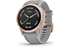 Garmin Fenix 6S Sapphire Premium Edition Sport GPS Smartwatch