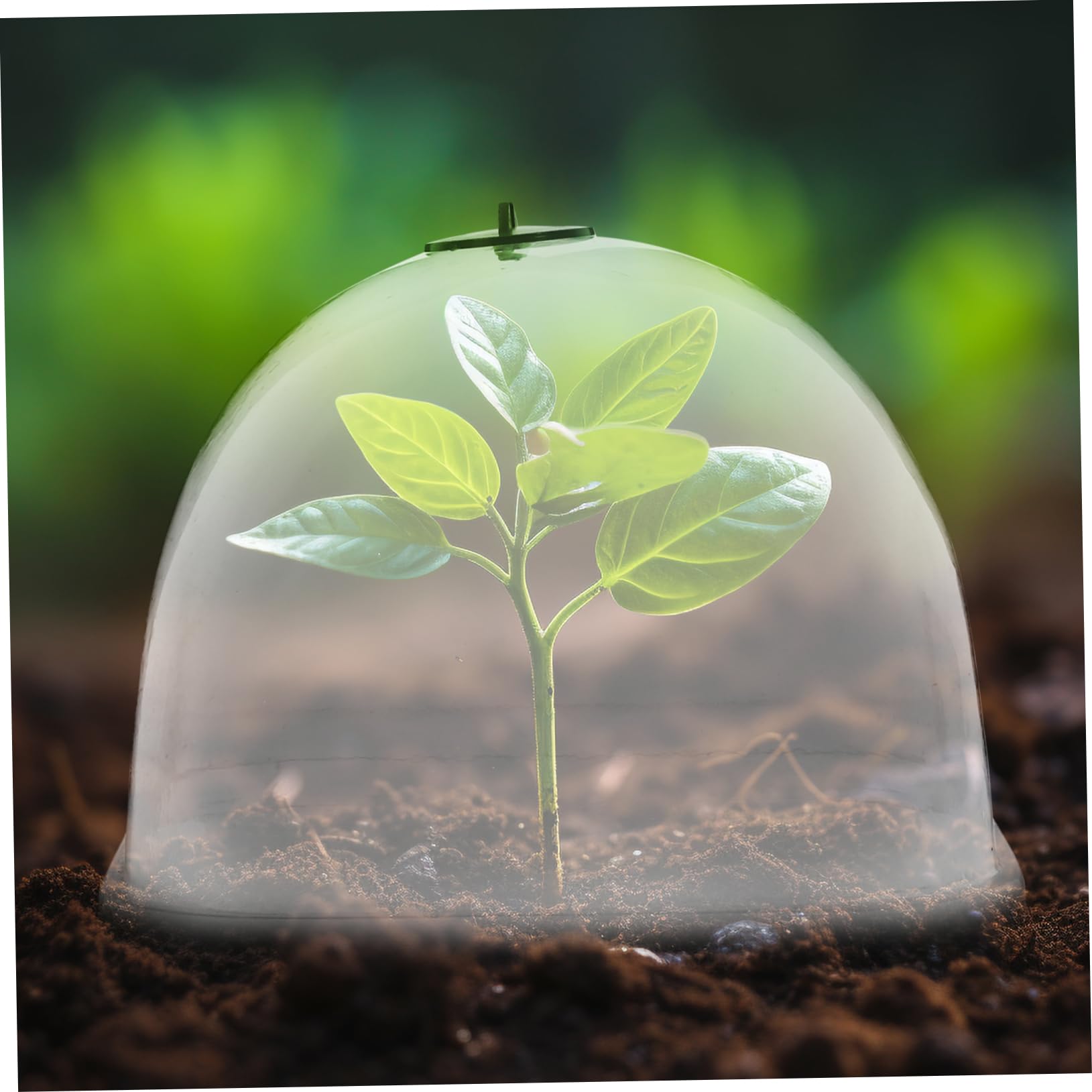 VICASKY 10Pcs Transparent Plant Humidity Dome Frost Protection Cover with Air Vent for Garden Plants Lightweight and Durable for Winter Plant Monitoring