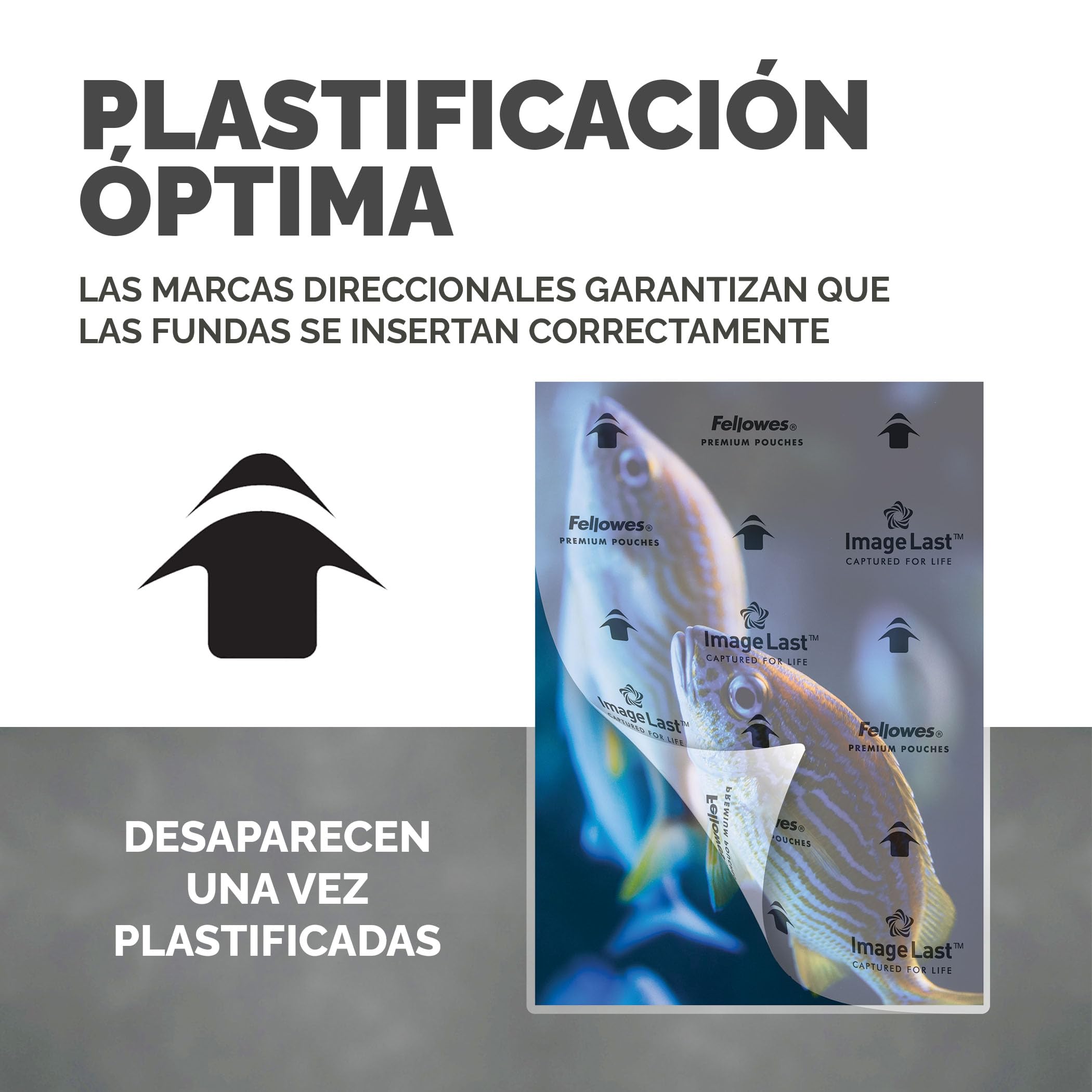 Bolsa de plastificar fellowes brillo din a5 80 micras pack 100 unidades