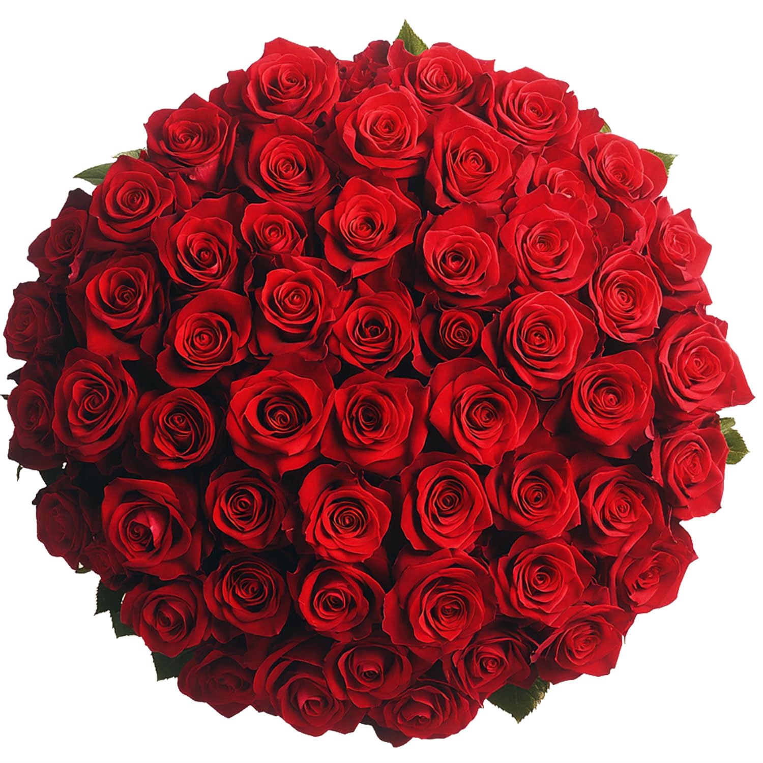GlobalRose Fresh Cut Red Roses - 150 (6 Bundles of 25) Fresh Flowers Bouquet for Wedding