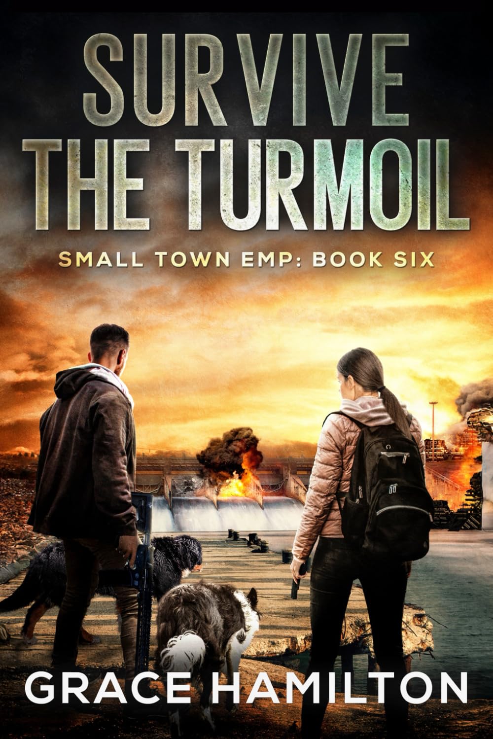 Survive the Turmoil: A Post-Apocalyptic EMP Saga Filled With Fascinating Characters & Prepper Info (Small Town EMP)
