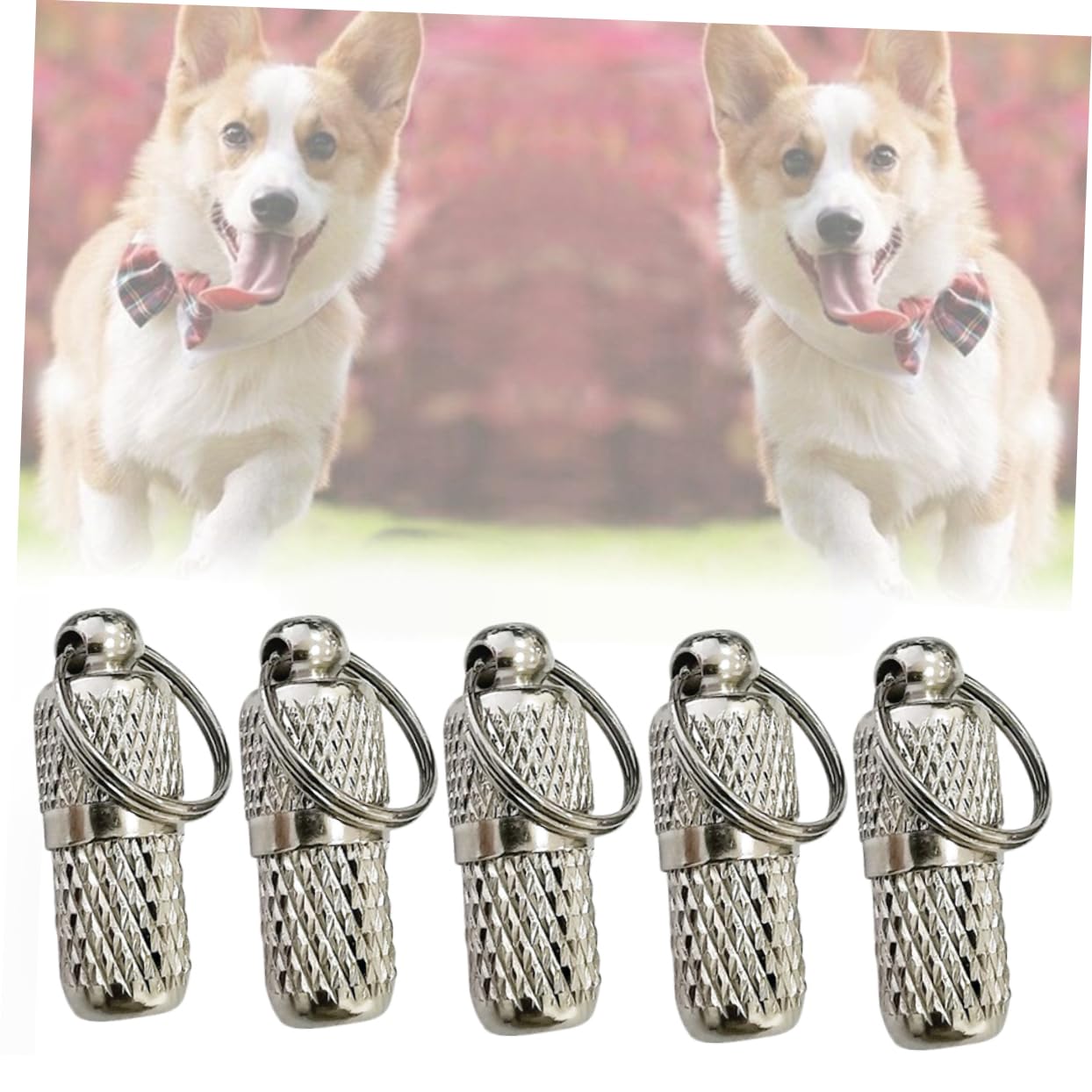 BESPORTBLE 40 Pièces Pendentif Anti-Perte Colliers De Chat Personnalisés Étiquettes De Chien Personnalisées Plaque D'identification Plaques D'identité pour Chiens Gravées Animal De Compagnie