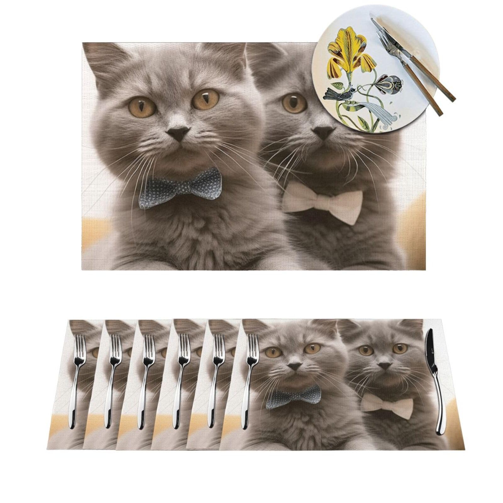 Set de table cuisine et fêtes motif chat amusant pour repas convivial