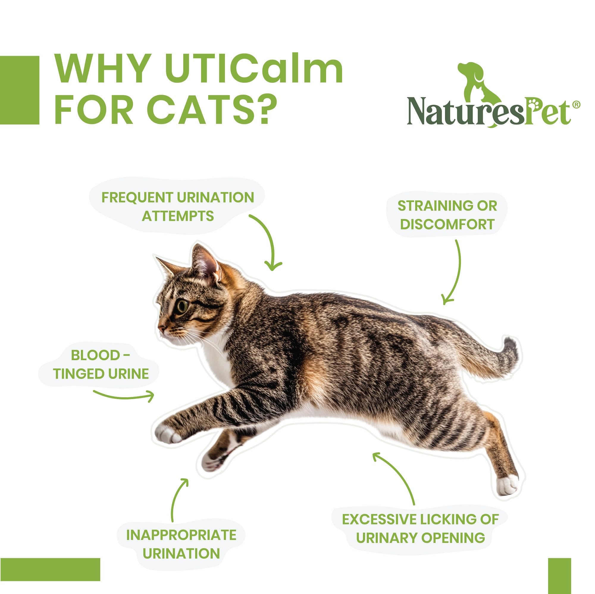 NATURES PET UTICalm - Urinary Tract & Bladder Support for Cats (100 Sprinkle Capsules) - Image 3